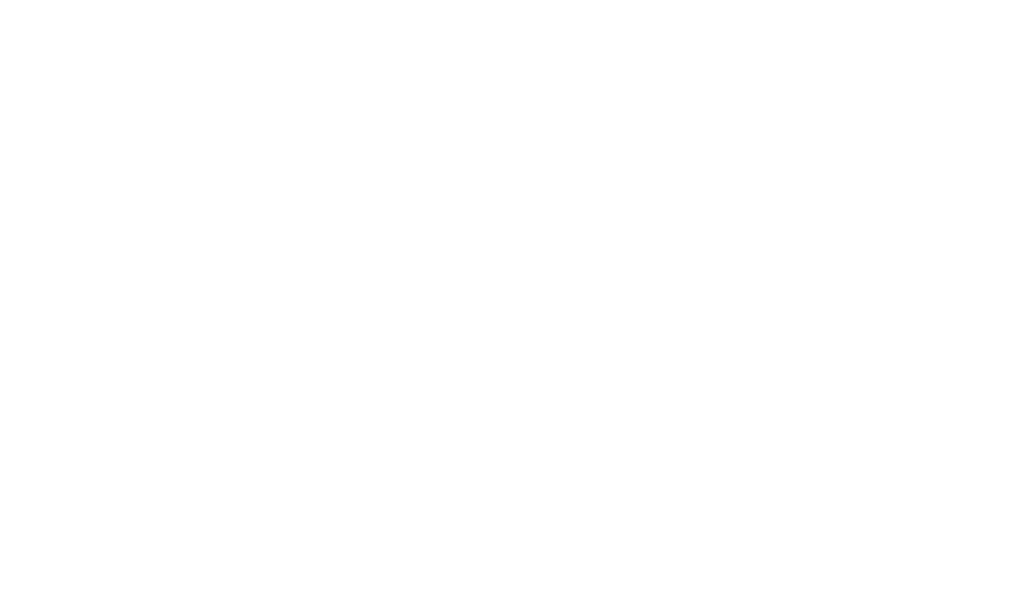 Mother of the Americas Institute